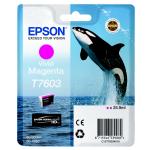 Epson purpurový (magenta) inkoust, T760340