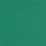 Barevný karton - A4 / 160 g / tmavě zelená