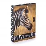 Box A4 na sešity Jumbo / Zebra