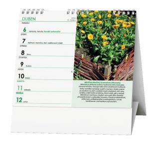 Kalendář stolní MINI - Léčivé rostliny / BSK6