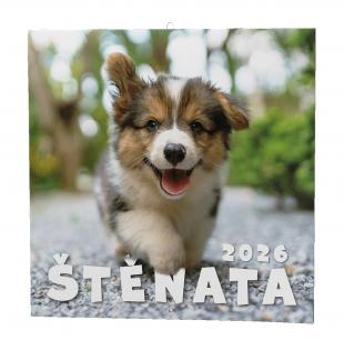 Kalendář nástěnný poznámkový - Štěňata / BNL2