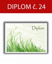 Diplomy