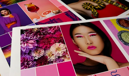 Xerox Proficio PX500