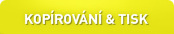 kopírování a tisk xcopy